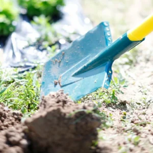 De gros ? BÊCHE À REBORD MANCHE POMME NOVAGRIP LEBORGNE – 314283 ⌛ 9